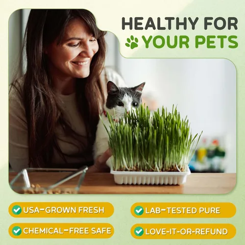Miniatura 6 de Todd's Seeds – Hierba para gatos de interior o exterior, 1 libra de hierba de trigo – Premium, 100% libre de químicos (mejor que orgánico) sin GMO