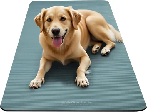Miniatura 7 de Gaiam Essentials - Alfombrilla de yoga y pilates, fitness y ejercicio de 2/5 pulgadas de grosor (0.394 in) con correa de transporte fácil de Balsam