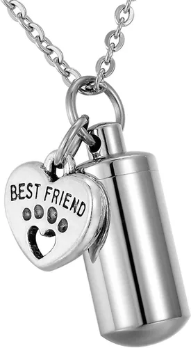 TTVOVO Collar de urna de cremación para mascotas, para cenizas, recuerdo conmemorativo, soporte para cenizas, medallón de urna para mejor amigo,