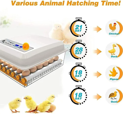 Miniatura 6 de Incubadora de huevos con capacidad para 120 huevos LED de giro automático de huevos y control de temperatura, ventilación automática, incubadoras