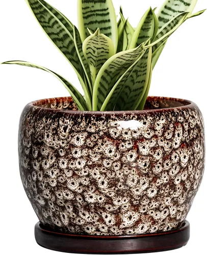 Miniatura 14 de SQOWL Macetas de cerámica – Maceta de 6 pulgadas con orificio de drenaje y bandeja, maceta redonda para plantas de interior, maceta decorativa