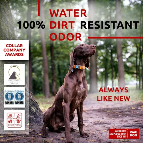 Miniatura 2 de WAUDOG Collar de Perro Impermeable - Collar de Perro Ajustable para Perros Grandes, Pequeños y Medianos - Collar de Perro Desmontable Impermeable