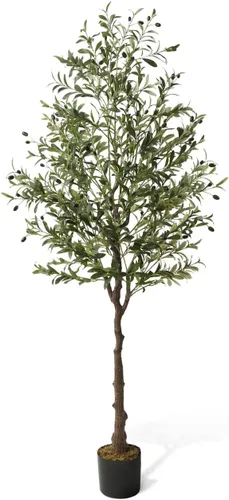 CAPHAUS Árbol de olivo artificial en maceta de 6 pies, resistente a los rayos UV, planta sintética para interiores, realista para sala de estar,