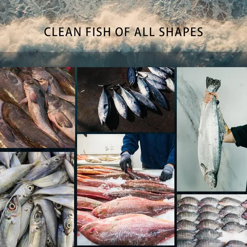 Miniatura 5 de Potente escalador eléctrico de pescado, removedor de pescado inalámbrico para quitar fácilmente las escamas de pescado sin problemas ni desorden