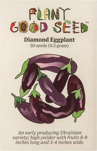 Miniatura 4 de Aswad - Semillas de berenjena – Paquete de 50 semillas de verduras certificadas orgánicas, sin OMG, polinizadas abiertas, sin tratar, para plantar