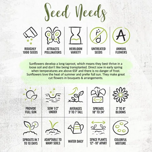 Miniatura 8 de Seed Needs Semillas de girasol para plantar la mezcla loca original Más de 500 semillas de reliquia, más de 15 variedades polinizadas abiertas