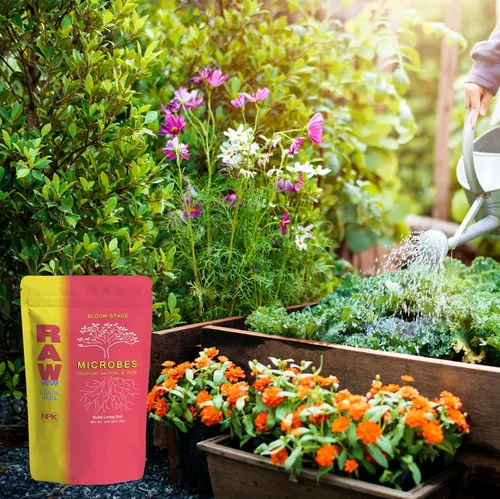 Miniatura 4 de RAW Microbes Bloom 2lb - Inoculante microbiano beneficioso para plantas con flores - Aumenta la absorción de nutrientes y mejora el desarrollo