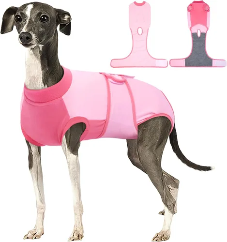 Miniatura 43 de Kuoser Traje de recuperación para perros, traje suave de esterilización para perros para recuperación de cirugía femenina, traje de recuperación