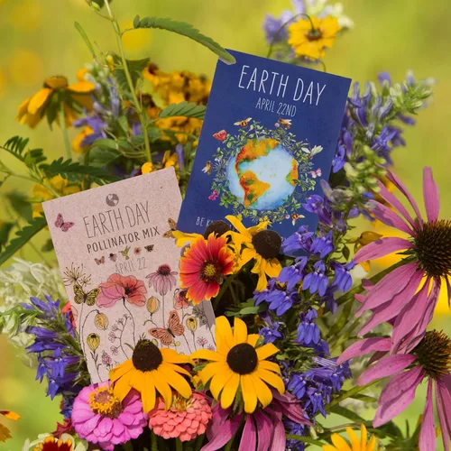 Miniatura 7 de 25 paquetes de semillas navideñas del Día de la Tierra 2025 (paquetes de semillas de mezcla de flores de silvestre)