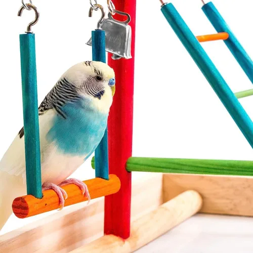 Miniatura 6 de Penn-Plax Centro de Actividades para Aves – Perfecto para Aves Jóvenes o Pequeñas Varios