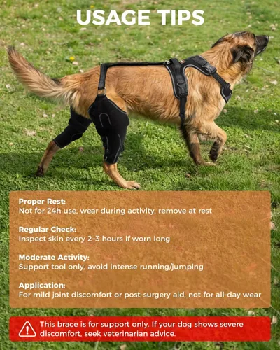 Miniatura 9 de Rodillera para Perro para Pata Trasera Rota ACL/CCL, Soporte Ajustable con Suficiente Envoltura y Apoyo para Luxación de Rótula, Rodillera