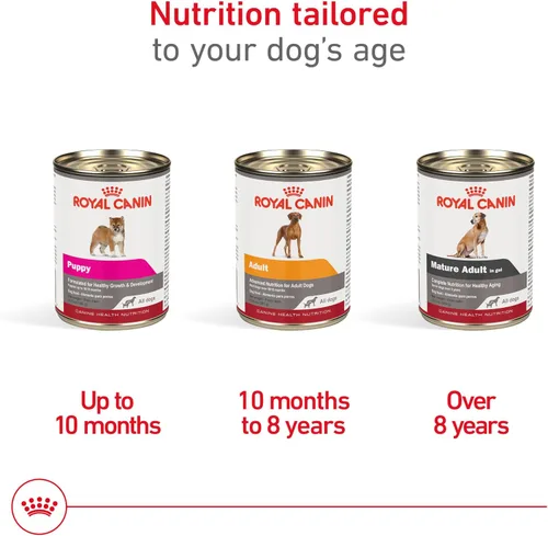 Miniatura 4 de Alimento en gel para perros adultos Royal Canin Canine Health Nutrition, 13.5 oz (Paquete de 12)