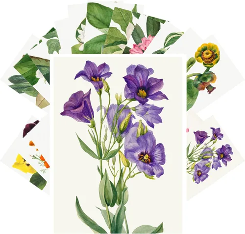 PIXILUV Tarjetas postales vintage (24 piezas de 10 cm x 15 cm cada una) Flores de jardín y flores silvestres Antigua ilustración de libro botánico