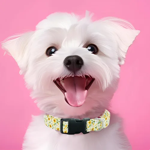 Miniatura 3 de Tunkoo Collar de perro de flores de margarita, bonito collar floral ajustable para perros machos y hembras con hebilla de plástico fuerte