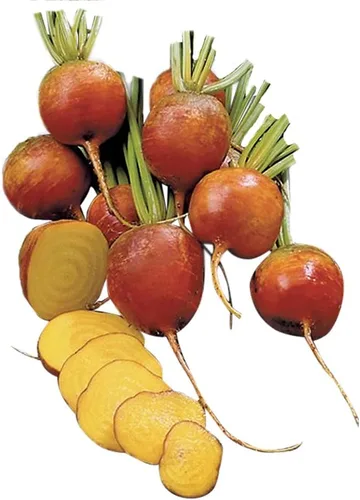 Miniatura 5 de Burpee Semillas de Remolacha Chioggia 200 semillas
