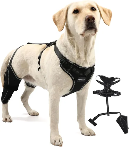 Miniatura 6 de Rodillera para perro para pierna trasera de acl desgarrada para apoyo con lesiones de ligamento cruzado, rótula luxante, artritis, rodillera de acl