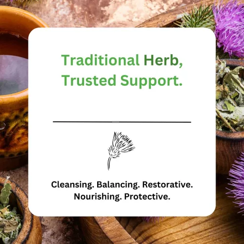Miniatura 5 de Paradise Herbs Cardo mariano, extracto activo de espectro completo, vegano, sin OMG, sin gluten, 120 cápsulas vegetarianas