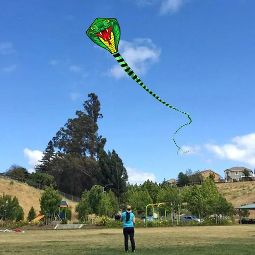 Miniatura 5 de HENGDA KITE Cometas de serpiente de gran potencia con línea voladora Cometa deportiva divertida al aire libre