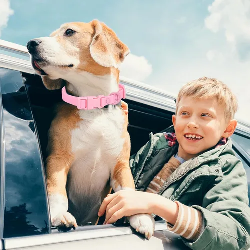 Miniatura 3 de Collar de perro impermeable de goma suave con hebilla de seguridad, collares ajustables para mascotas para perros pequeños, medianos y grandes Rosa