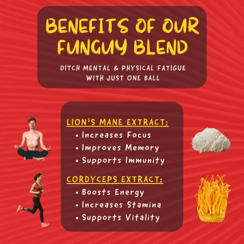 Miniatura 2 de ODD BALLS - Bolas energéticas orgánicas de cereza – Bocadillo de hongos con melena de león y cordyceps – 750 mg por porción para concentración