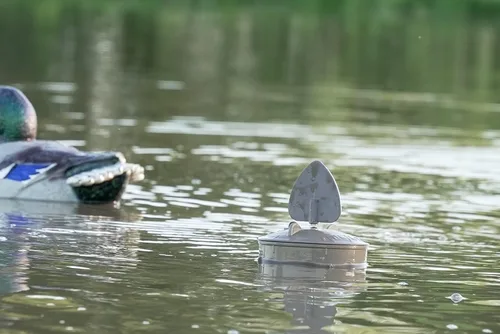 Miniatura 5 de MOJO Outdoors - Premium Waterfowl and Duck Hunting Decoys