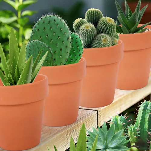 Miniatura 6 de Paquete de 26 macetas pequeñas de arcilla terracota de 3 pulgadas con orificio de drenaje, maceta de terracota para plantas de interior y exterior