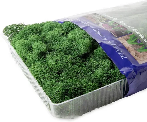 Miniatura 3 de SuperMoss (21757) Musgo de Reno Conservado, Bosque, 8 onzas (200 pulgadas cúbicas)