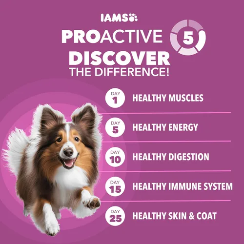 Miniatura 2 de Comida para perros adultos y mayores seca IAMS PROACTIVE HEALTH , Adulto maduro