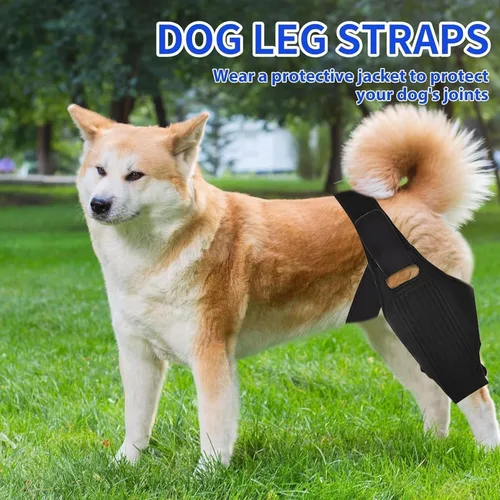 Miniatura 5 de Rodillera para perro, soporte ajustable para piernas de perro para desgarro del ligamento cruzado anterior, dolor de articulaciones, dolor muscular