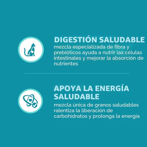 Miniatura 5 de Iams Proactive Health Adult Indoor Weight & Hairball Control Comida seca para gatos