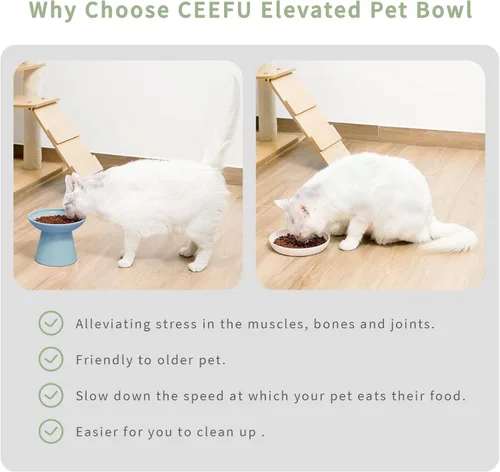 Miniatura 4 de CEEFU 2 tazones elevados de cerámica para gatos extra anchos para alimentos y agua – Tazón poco profundo para fatiga de bigotes, sin plomo ni Azul