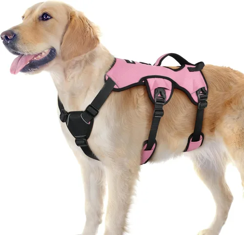 Miniatura 34 de rabbitgoo - Arnés para perro a prueba de fugas, arnés para mascotas acolchado suave de cuerpo completo, chaleco reflectante ajustable sin tirones