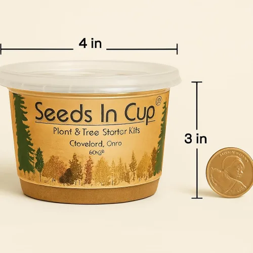 Miniatura 3 de Arce Japonés Kit de cultivo de semillas Seeds in A Cup