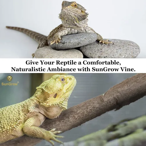 Miniatura 4 de SunGrow Vid de reptiles de 6 pies para terrario, decoración flexible de tanque de lagarto escalador, accesorios de escalada de serpiente de pitón