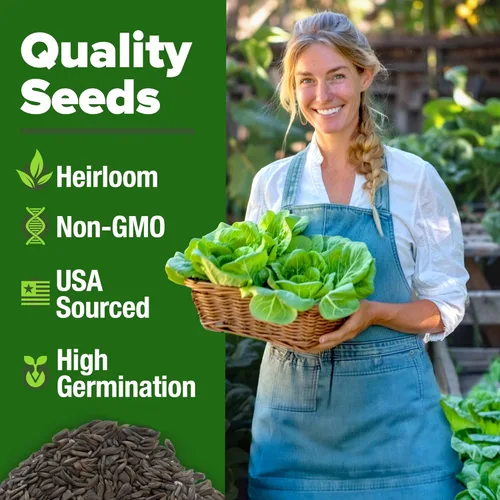Miniatura 3 de HOME GROWN Buttercrunch - Semillas de lechuga 3950+ paquete a granel sin OMG, alta germinación, lechuga Bibb para plantar, jardín hidropónico