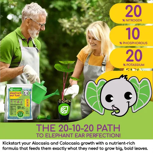 Miniatura 3 de Wellspring Gardens - Fertilizante para plantas de combustible para orejas de elefante, fórmula de alimentos vegetales para alocasias y colocasias