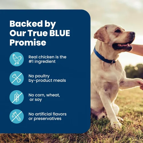 Miniatura 6 de Blue Buffalo Life Protection Formula - Alimento seco para perros mayores, apoya la salud y la movilidad de las articulaciones, hecho