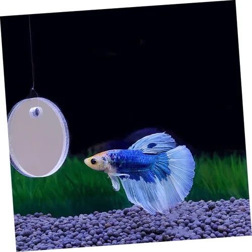 Miniatura 6 de Espejo flotante de pecera Betta con espejo acrílico y cuerda para ejercicio Betta y decoración de acuario pequeño, 1.57 x 1.57 x 0.19 pulgadas
