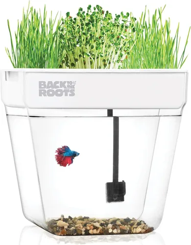 Miniatura 9 de Back to the Roots Kit de cultivo de riego automático, macetas hidropónicas de vidrio para suculentas y sistema de riego automático de cactus