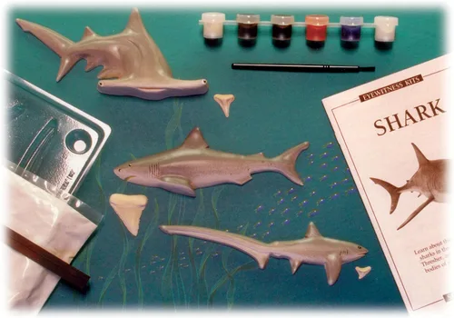 Miniatura 2 de Kits de testigo ocular Kit de fundición de tiburón