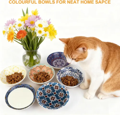 Miniatura 5 de Cuencos de cerámica para gatos, paquete de 6 cuencos coloridos para gatos, platos antideslizantes para gatos, cuencos anchos para mascotas aptos