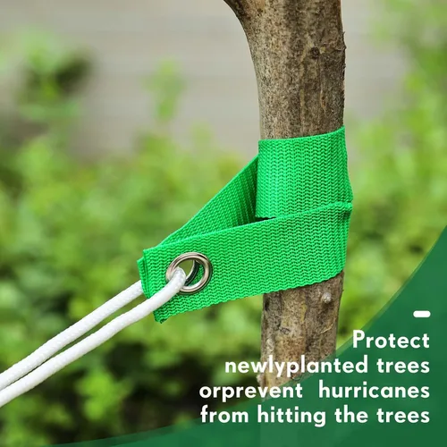 Miniatura 6 de 32 correas de árbol de 15.74 pulgadas para estacas con ojales, estacas resistentes para árboles y plantas, estacas para guiar, estacas recién Verde
