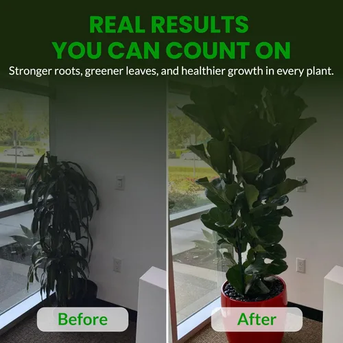 Miniatura 8 de Humboldts Secret Everything - Alimento para plantas de interior 3-3-3 Fertilizante líquido multiusos con algas noruegas Apoya el crecimiento