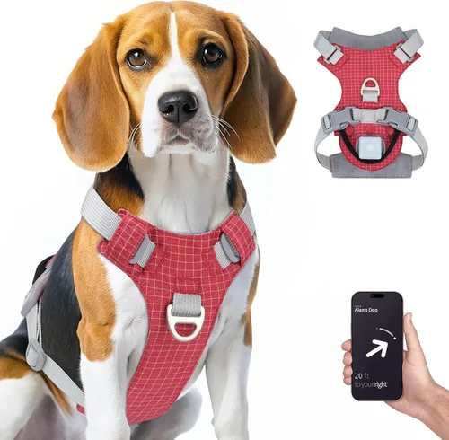 TagME Arnés para perro sin tirones con 2 clips para correa, ligero y visible para caminar todo el día, chaleco para mascotas sin estrangulamiento,