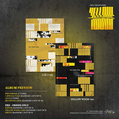 Miniatura 2 de STRAY KIDS - Special Album [CLE 2 : YELLOW WOOD] (YELLOW WOOD Ver.) CD + Photobook + 3 QR Photocards + 2 Pin Button Badges
