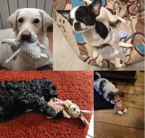 Miniatura 2 de Comtim Juguetes para perros sin relleno con chirriador, juguetes duraderos para masticar, perros pequeños y cachorros, conejo y elefante