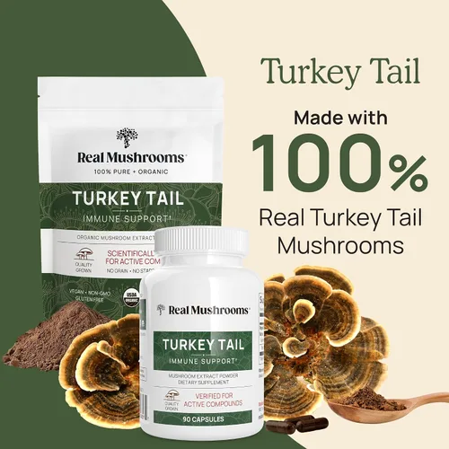 Miniatura 3 de Real Mushrooms Polvo de seta cola de pavo – Extracto de seta orgánico para el bienestar diario, armonía intestinal y apoyo energético con beta