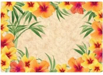 Hoffmaster Manteles individuales de papel #2 de hibisco, 50 unidades por paquete