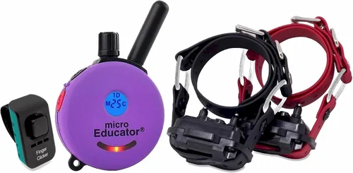 Miniatura 8 de Collar de entrenamiento humano para perros Educator E-Collar con control remoto, 100 niveles seguros de estimulación por toque, luz nocturna, Púrpura