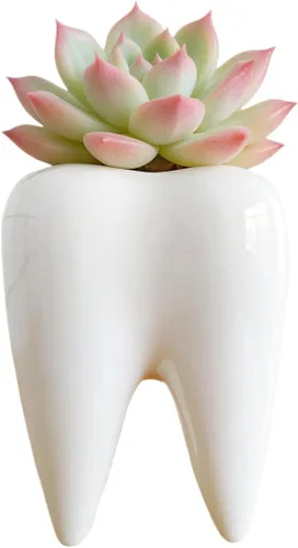 Miniatura 17 de Cuteforyou Macetas para suculentas, bonitas macetas de cerámica con forma de animal, diseño de cactus suculentas, planta no incluida (Corgi)